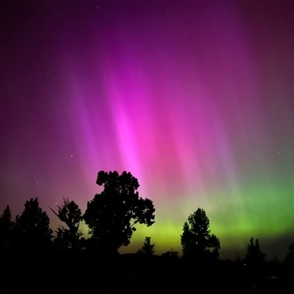 Meet your Posher, Jessie Leigh - Picture 8 of 11